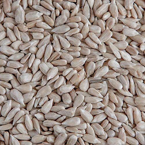 Price comparison product image Leagrams 25kg Sunflower hearts