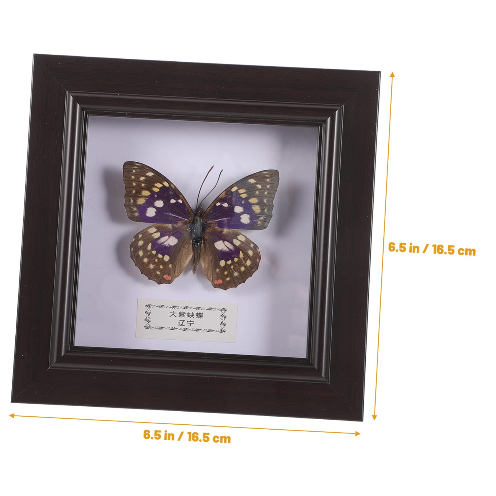 FELTECHELECTR Butterfly Specimen Display Frame Elegant Wall Decor Desktop Ornament Vintage Creative