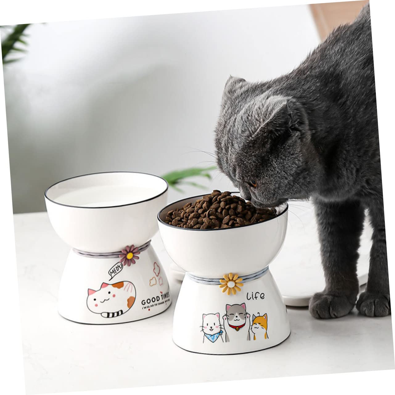 Hohopeti 2stücke Erhöhter Katzennapf Katzenohr-Design rutschfest Und Ergonomisch Für Bequeme Fütterung Vermeidung Von Erbrechen Für Wohnungskatzen Zufälliges Muster