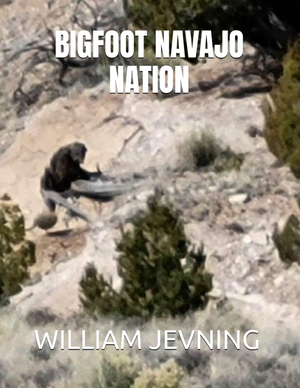 BIGFOOT NAVAJO NATION