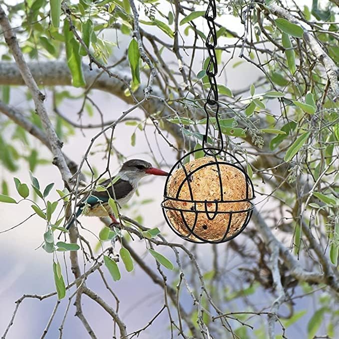 IWTBNOA Mangiatoia Per Uccelli, 5 Pezzi, In Metallo, Con 5 Ganci A