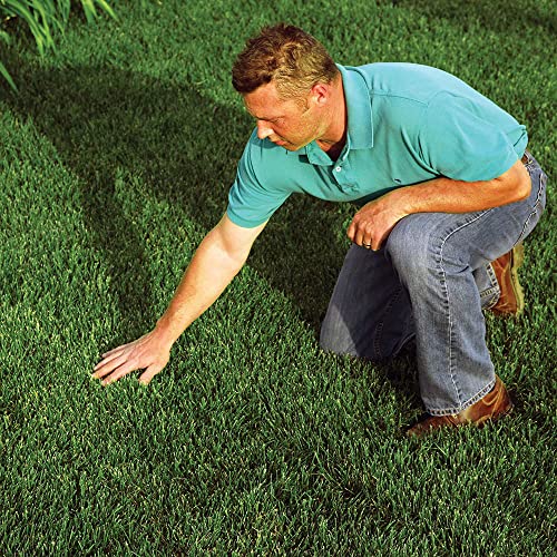 Rhino Seed & Landscaping Supply Ezstraw-1Cf Ez Straw Mlch/Tack 1Cuft, No Size, No Color #TOP5