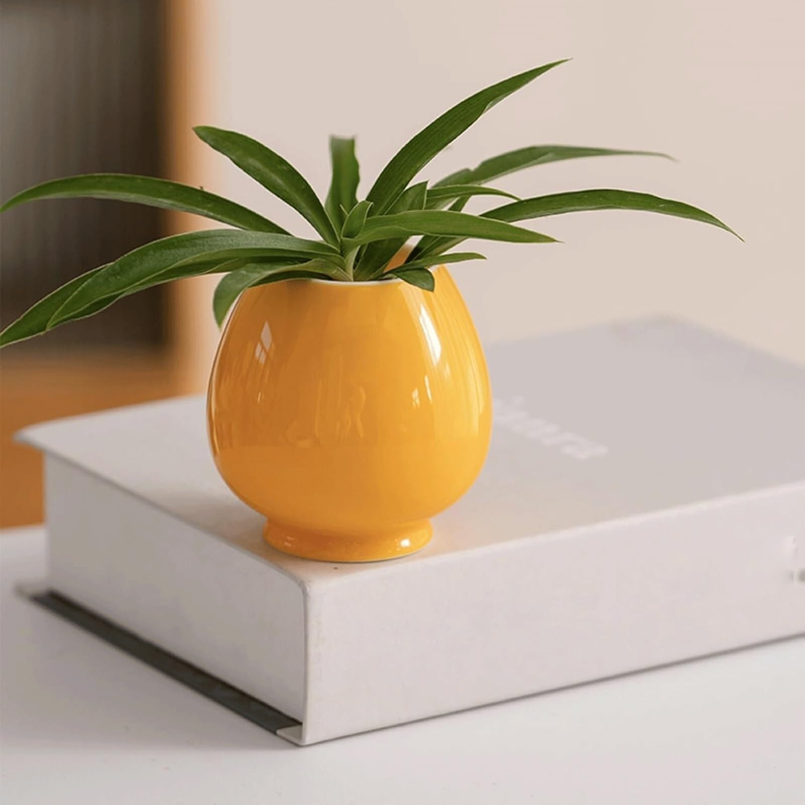 Ceramiczny wazon na kwiaty i rośliny, nowoczesny dekoracyjny wazon domowy o minimalistycznym wzornictwie