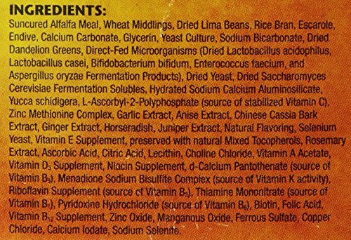 Zoomed Food Iguana Adulta Pellets - 28 gr