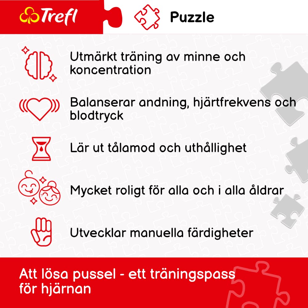 Puzzle Trefl Puzzle 500 Pièces : Galloping White Horses