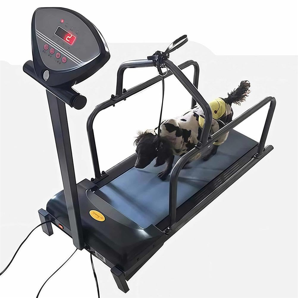 Regulowana prędkość bieganie psa Slatmill Machine do ćwiczeń fitness dla zwierząt domowych
