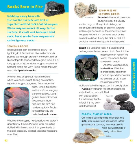 A Walk in the Woods: Into the Field Guide - Image 10