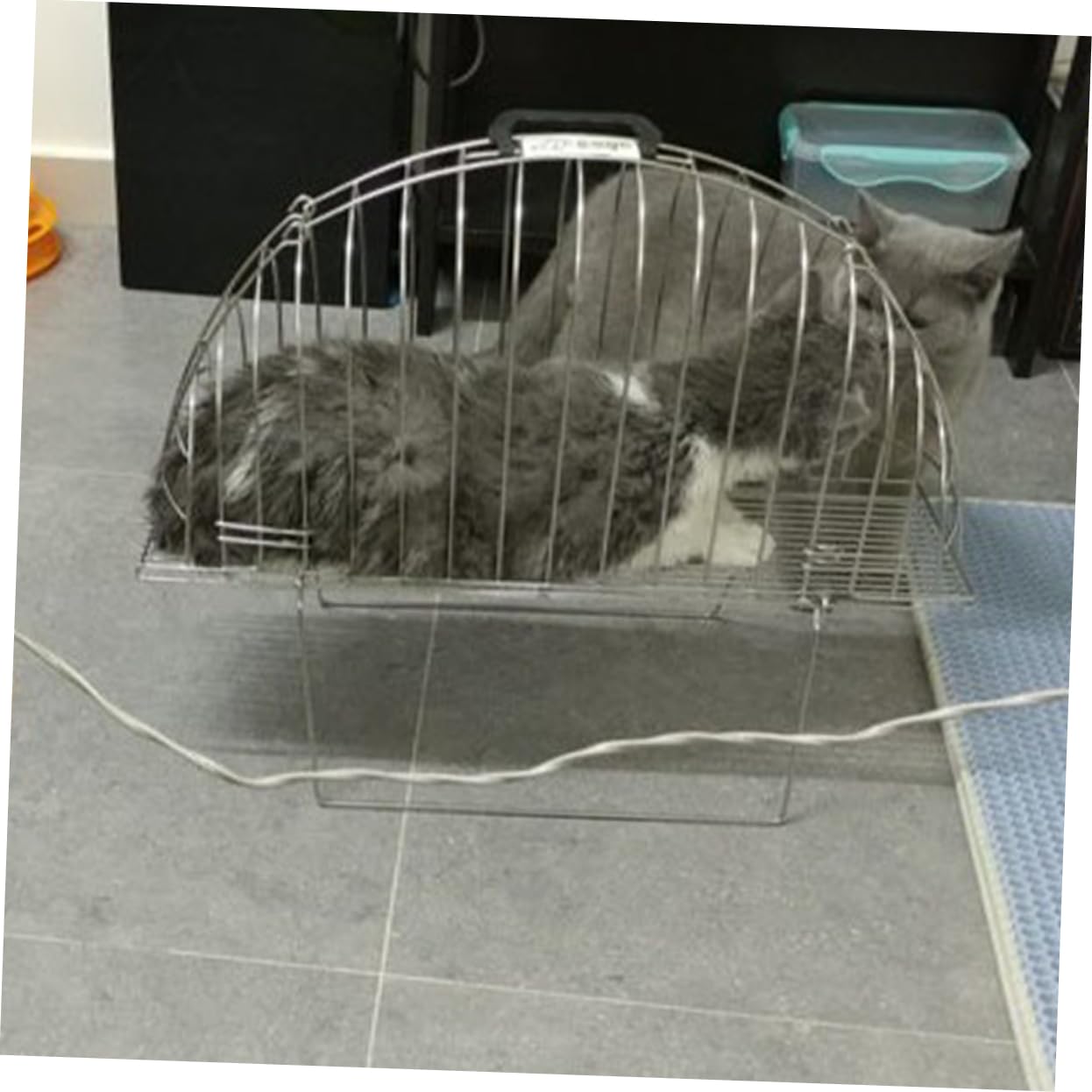 minkissy Gabbia per Doccia per Gatti in Metallo Argento, Compatta e Facile da Trasportare, con Spazzola Inclusa per Bagno e Pulizia Domestica di Animali