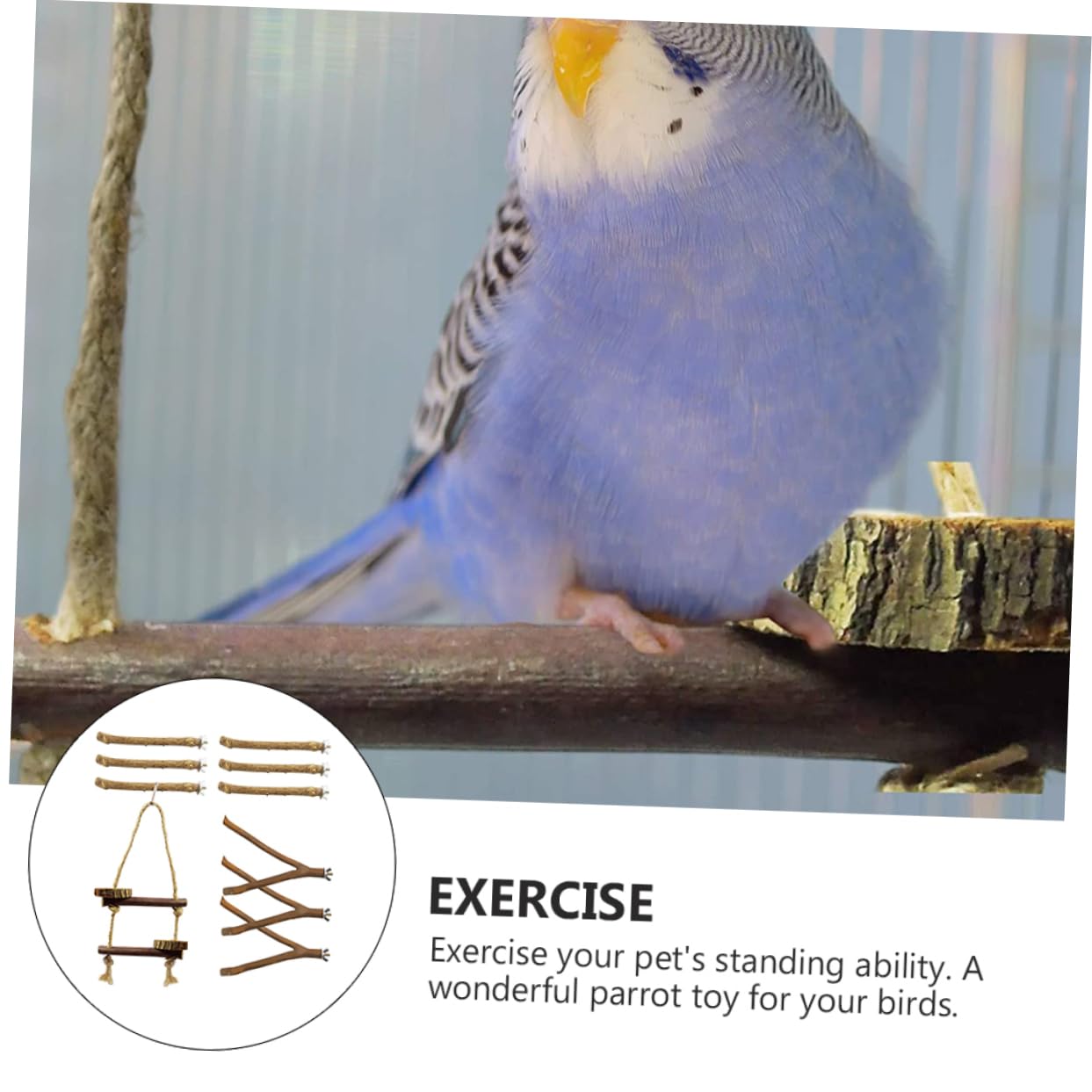 ifundom 10Pcs Parrot Stand Rack Natural Bird Chewing Training Stand for Parrots Perch Bracket for Parakeets and Cockatiels Random