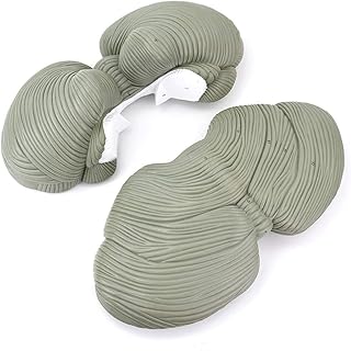 Anatomical Model of Human Cerebellar Morphology, Cerebellar Lobe, Cerebellar Nucleus, Medical Anatomy