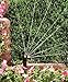 Rain Bird 18RNQ Mini Rotary Spray Nozzle, 90° Quarter Circle Pattern, Adjustable 13' - 18' Spray Distance