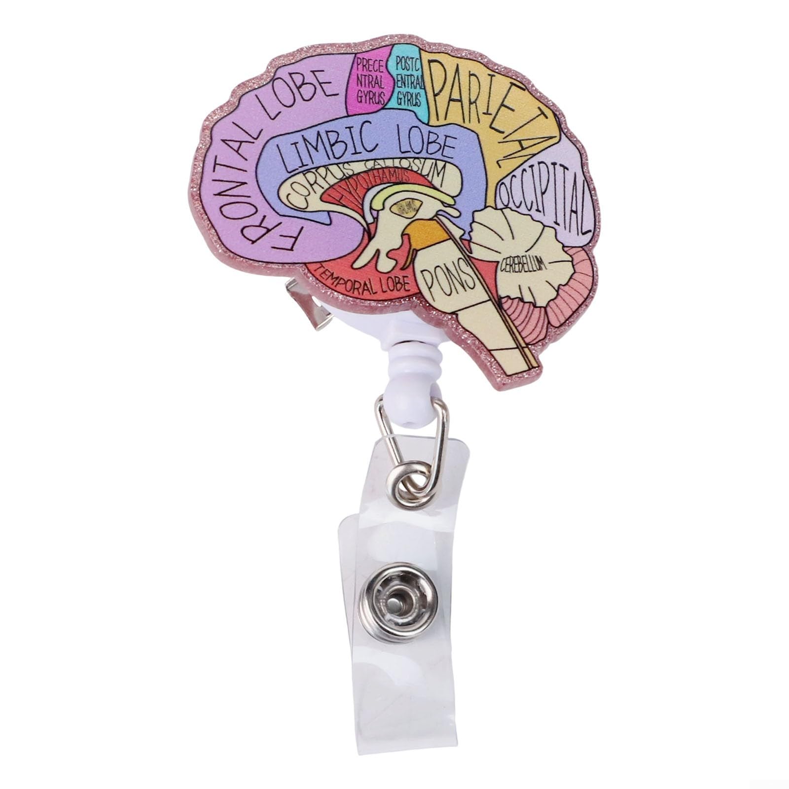 Acrylic Badge Holder Retractable Reel Anatomy Heart Lung Brain Print Vertical Card Protector for Hospital Staff Teachers(Brain)