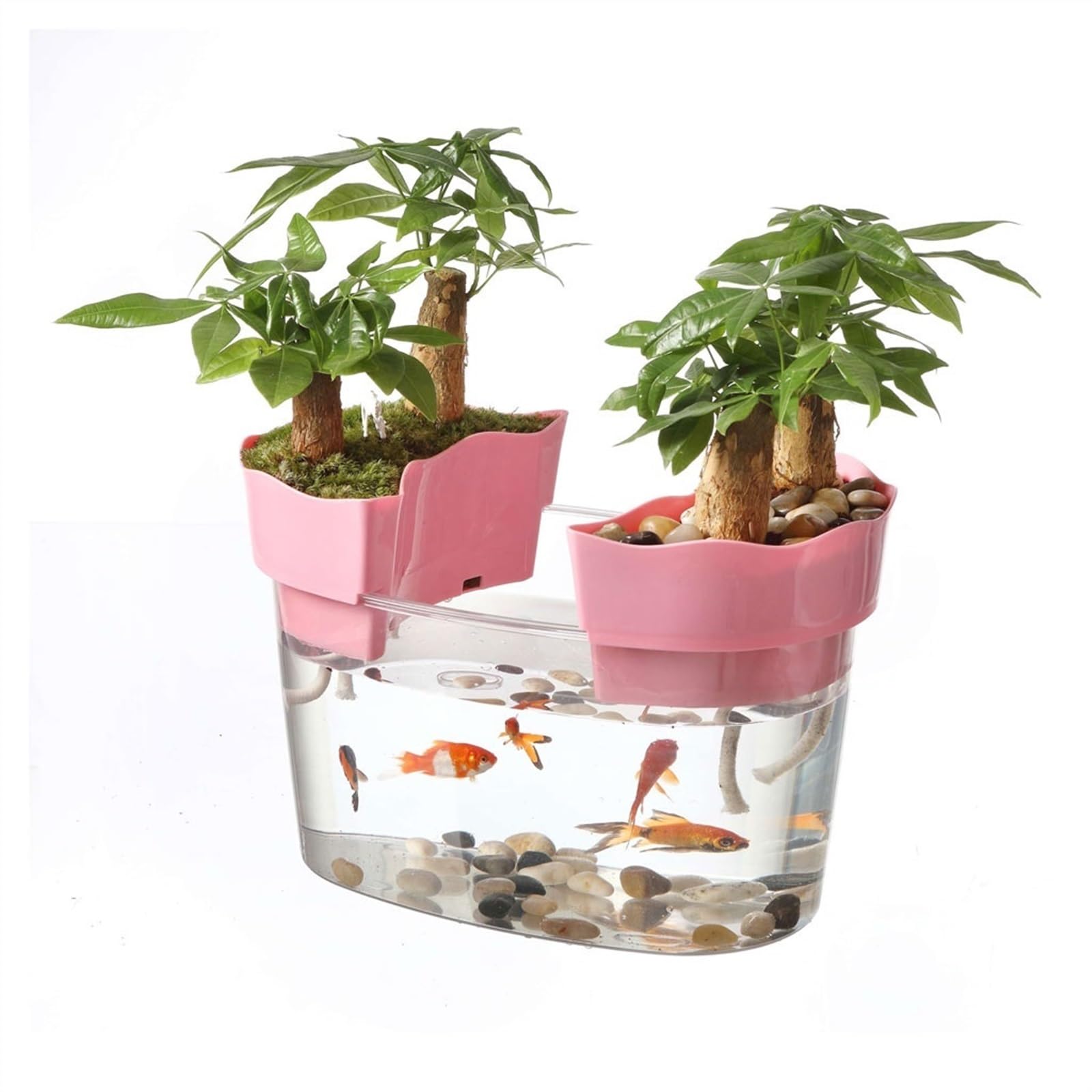 Mały Akwarium Akrylowe przezroczyste akwarium Zbiornik na żółwia Mały ekologiczny zbiornik do akwariów Bonsai Ozdoby na biurko Złota rybka(Średni)