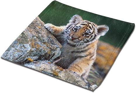 Amazon Co Jp タオル かわいい赤ちゃんトラ フェイスタオル 速乾 超吸水 柔らかい ホーム キッチン Amazon Co Jp タオル かわいい赤ちゃんトラ フェイスタオル 速乾 超吸水 柔らかい ホーム キッチン