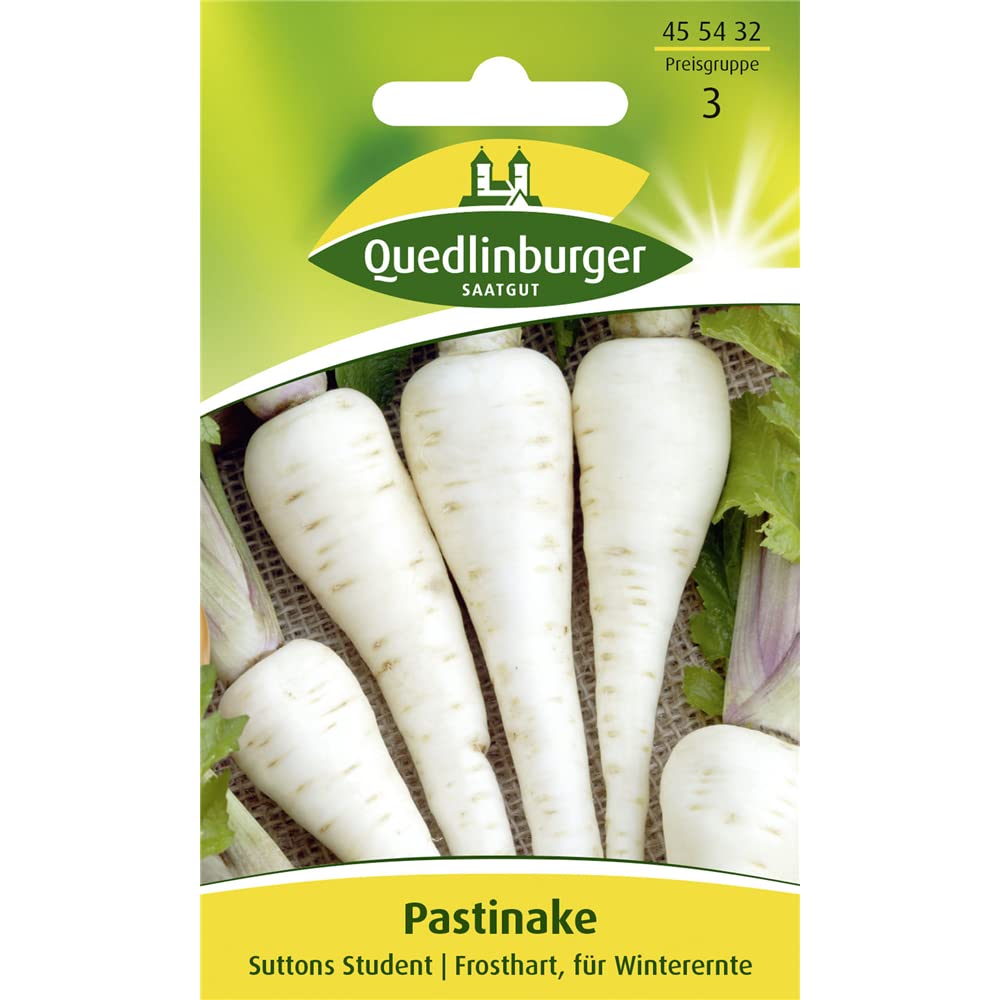 Pastinake, Suttens Student : Amazon.de: Garten