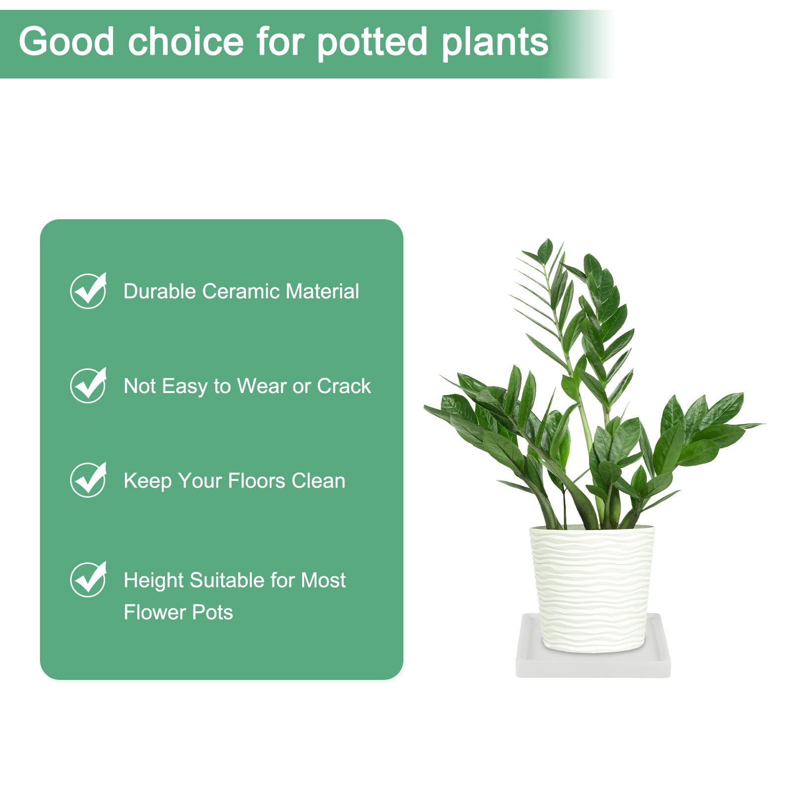 M METERXITY 2-Pack Ceramic Plant Saucer, 5 Inch Plant Water Catcher Tray - Image 3