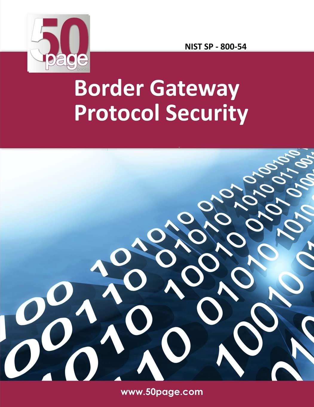Border Gateway Protocol Security