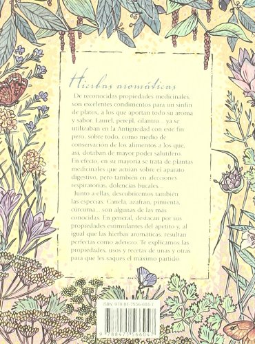 Hierbas aromaticas y especias