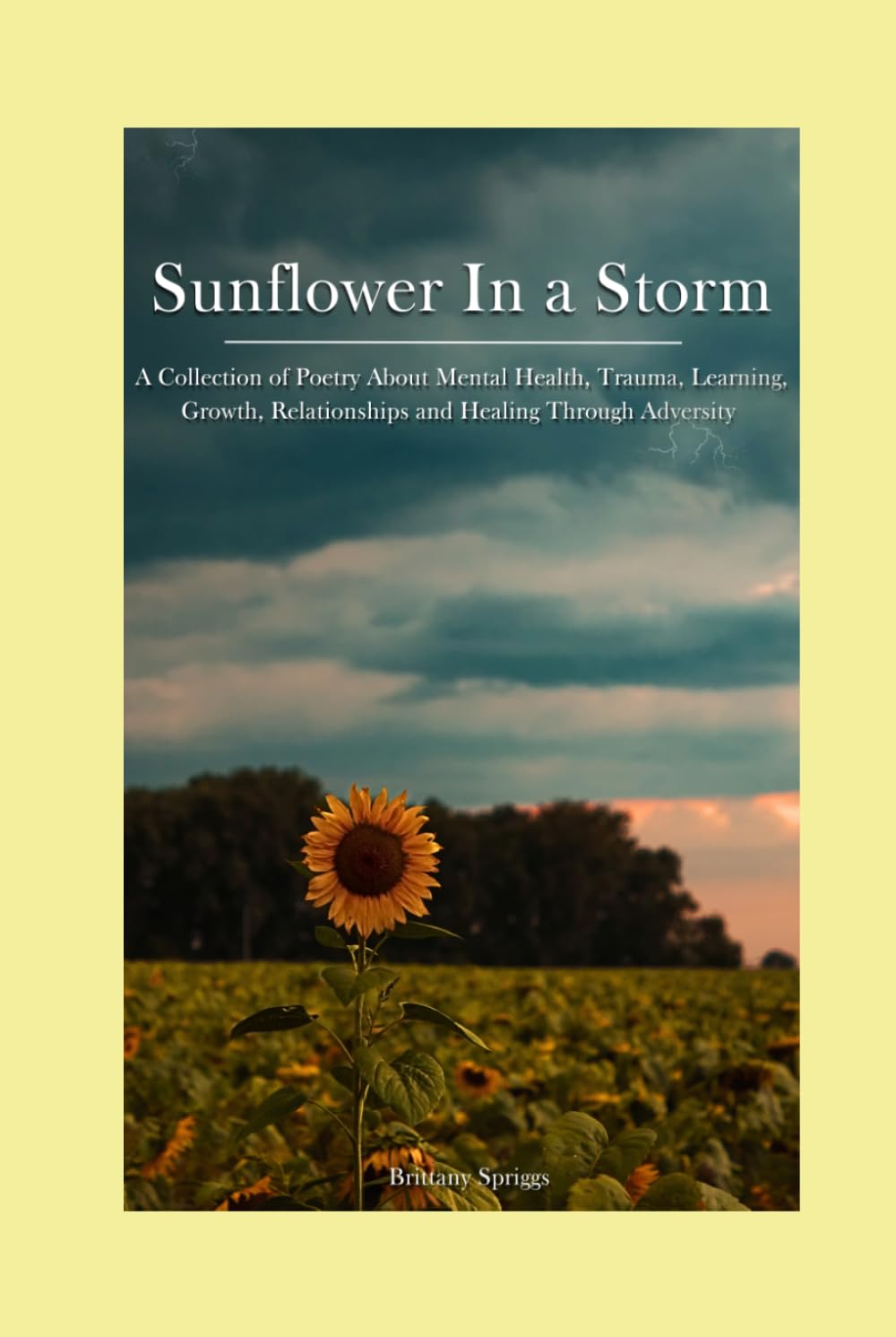 Sunflower in a Storm: A collection of poetry about mental health, trauma, learning, growth, relationships and healing through adversity.