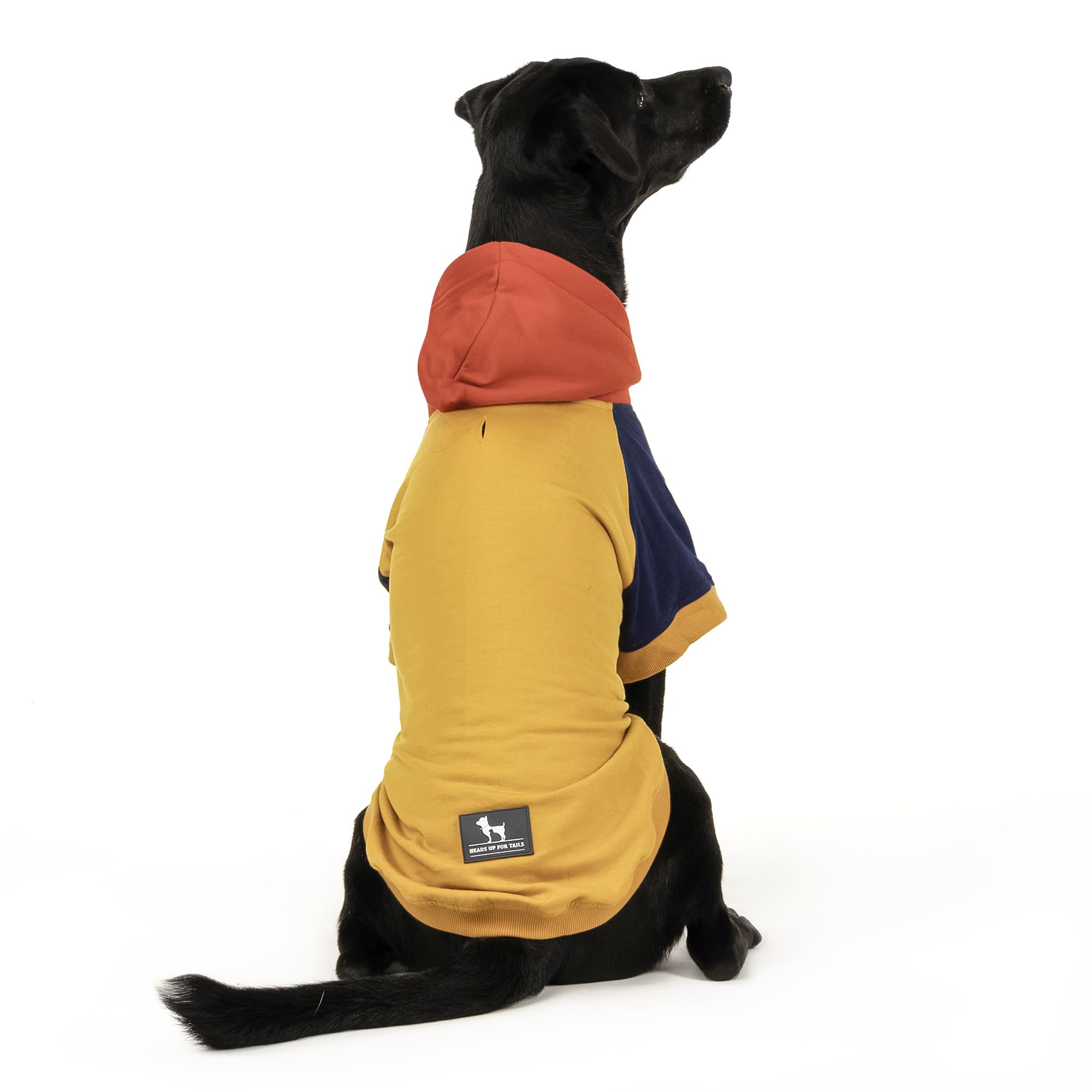 HUFT Colour Block Hoodie Pet Sweatshirt - Mustard - 4XL (B0CQ26Y5Z8) Amazon Price History, Amazon Price Tracker