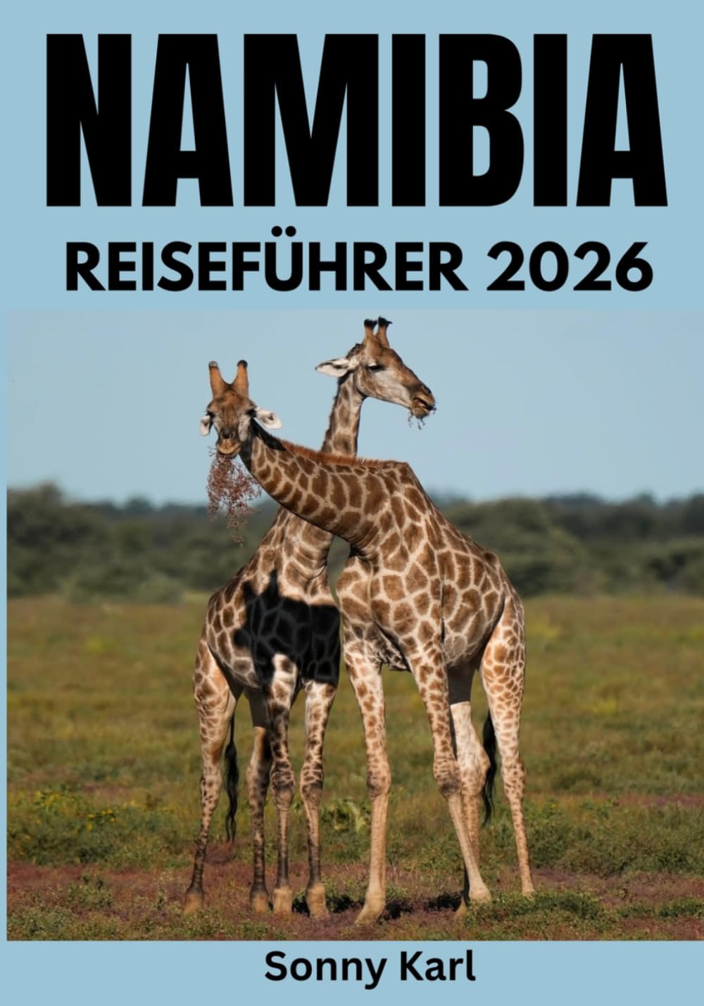 NAMIBIA REISEFÜHRER 2026