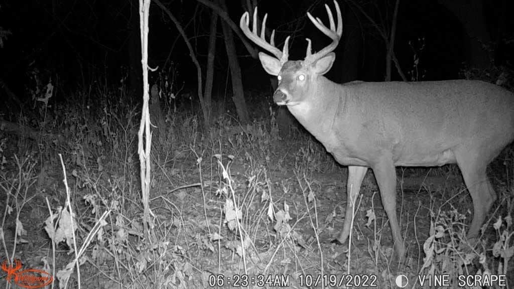 Wildgame Innovations DRT Extreme 8MP IR Game Camera Combo 2 Pack