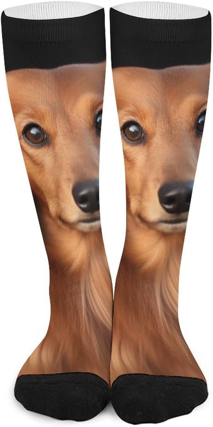 Long Haired Dachshund Knee High Soccer Socks Moisture Wicking