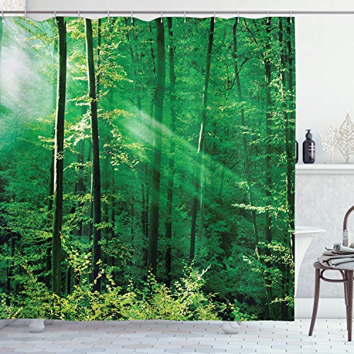 ABAKUHAUS Forest Shower Curtain, Sun Rays Bursting into the Forest Trees Foliage Misty Morning Serenity Picture
