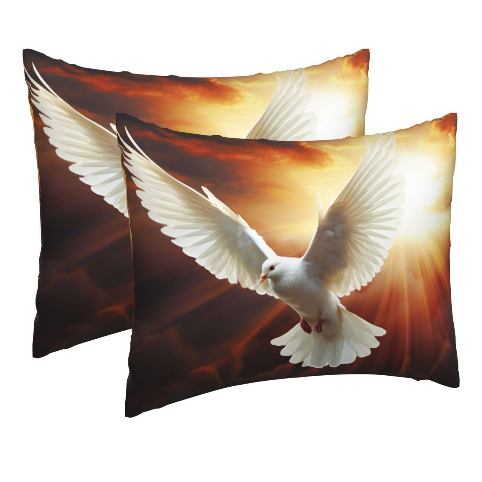2 Pack Pillow Cases with Hidden Zipper, Soft Breathable Pillow Covers for Hair and Skin, Dove Sun Art Pillowcases 16"x20" Bed Pillow Protectors Cover for Sleeping Gifts