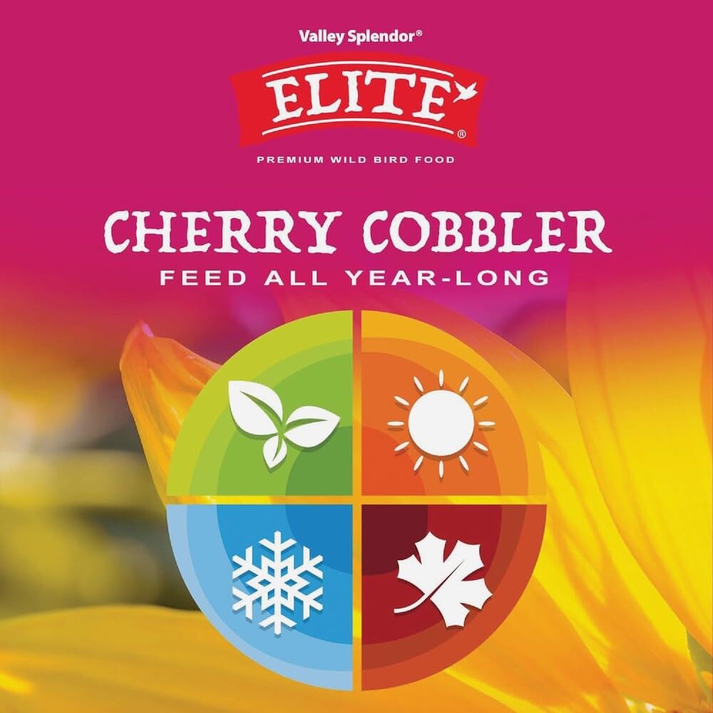 Cherry Cobbler 9497 4,5 kg