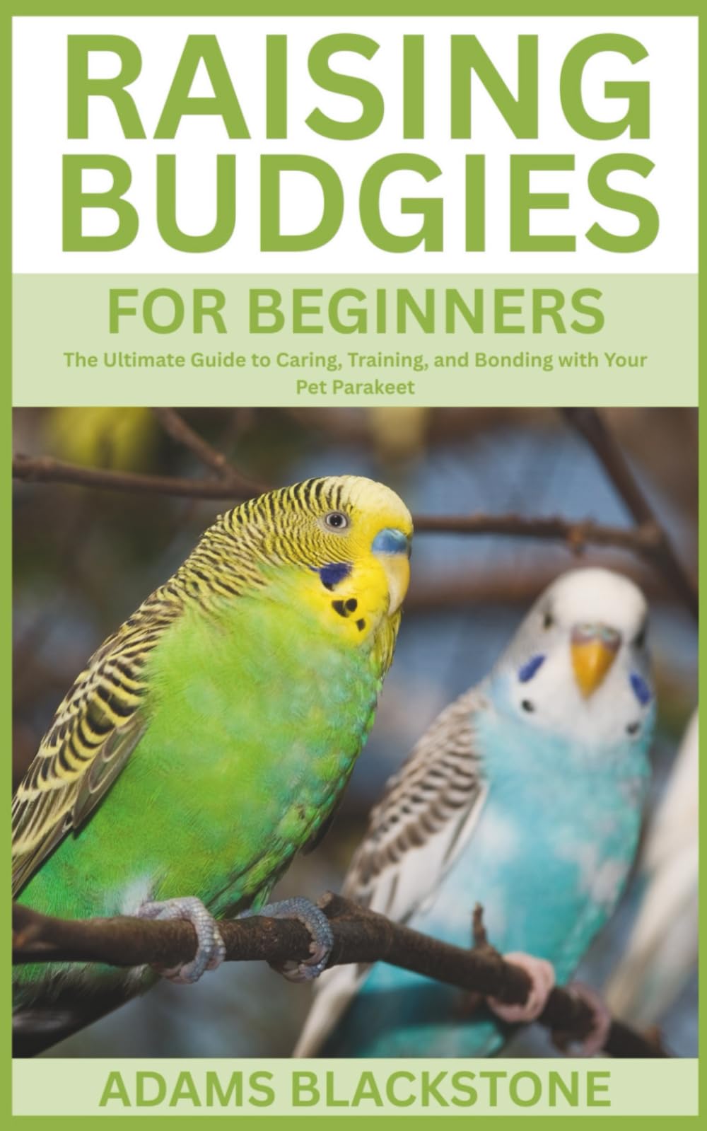 Raising Budgies for Beginners: The Ultimate Guide to Caring, Training, and Bonding with Your Pet Parakeet
