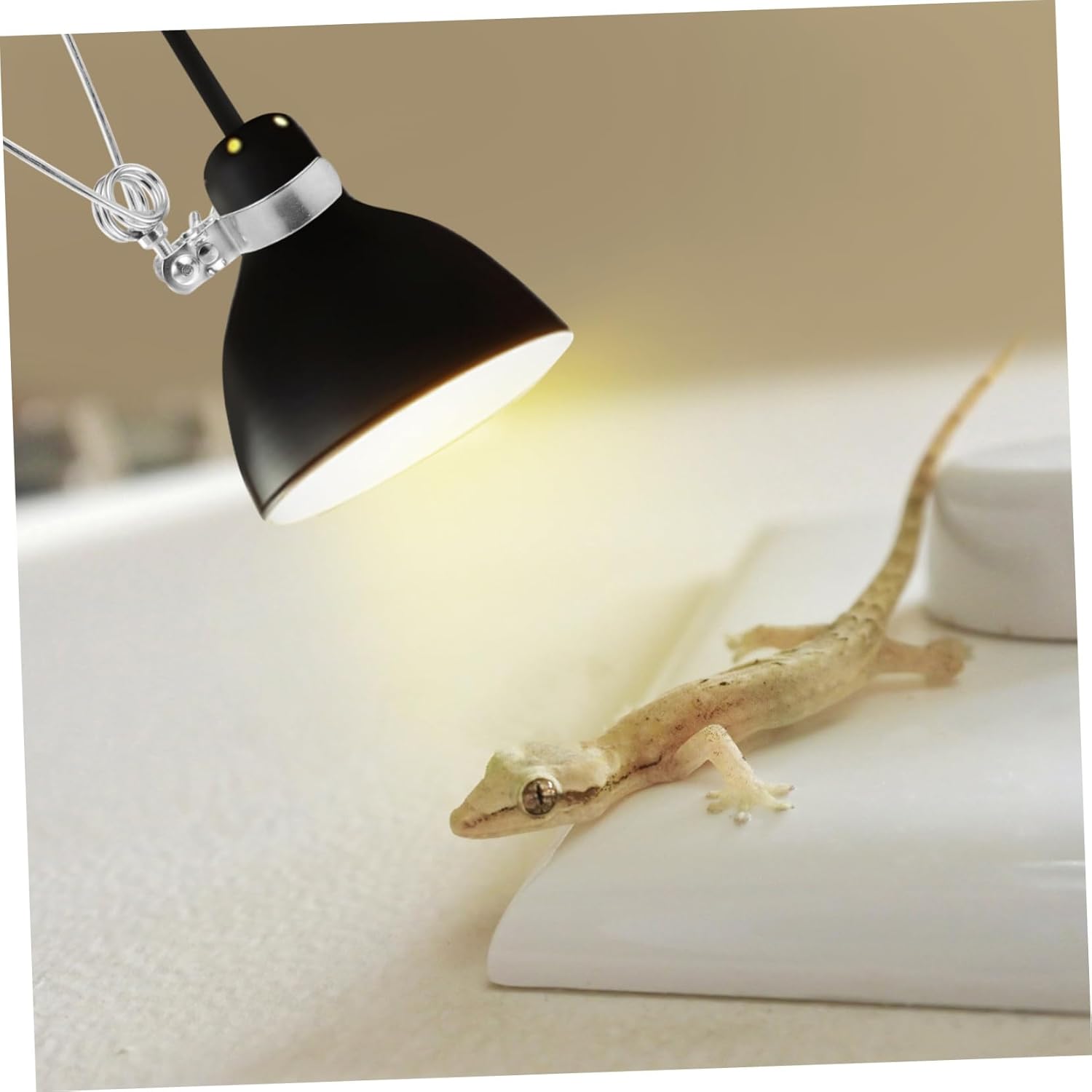 balacoo 4sets Adjustable Clamp Lamp Stand for Reptiles Heat Lamp Fixture Easy to Install and Use 2pcs*4