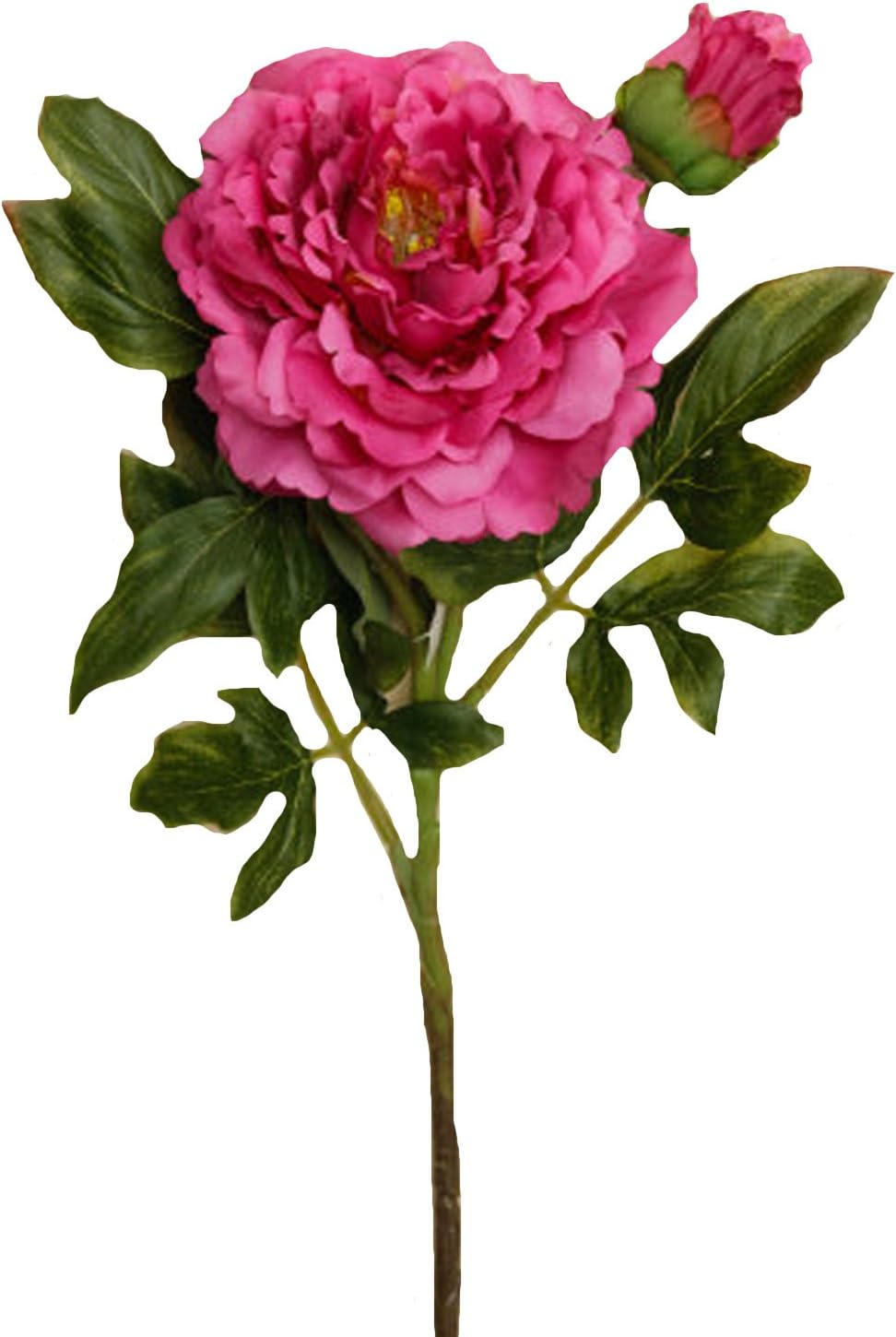 Your Heart's Delight Peony Branch Decor, 31Inch, Raspberry