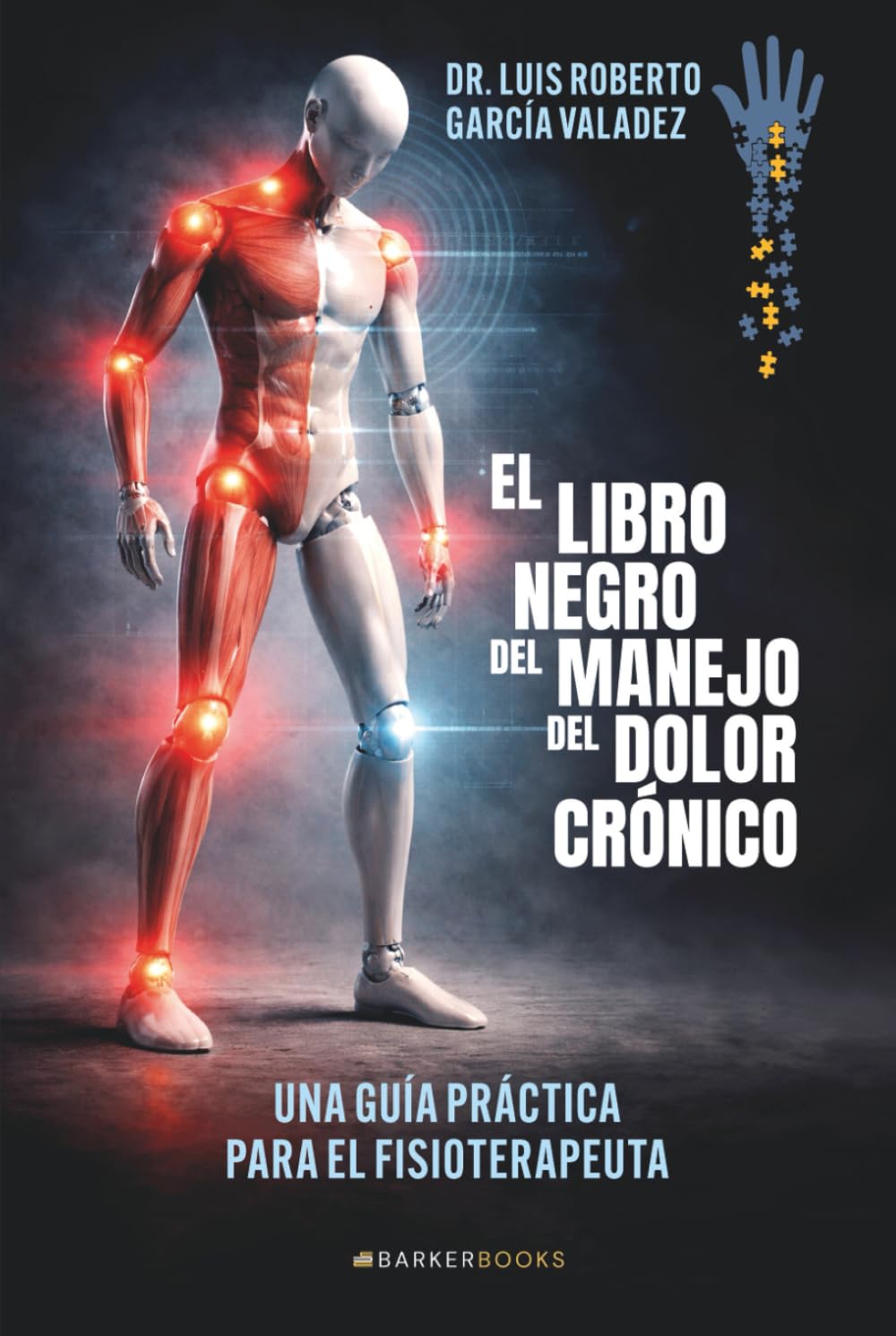 El libro negro del manejo del dolor crónico: Una guía práctica para el fisioterapeuta