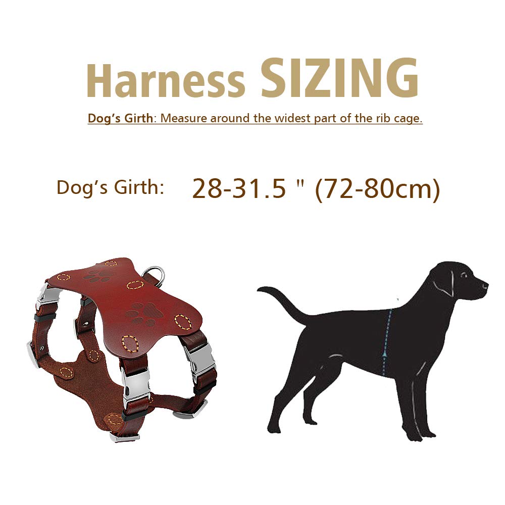 Hundegeschirr, Halsbänder, Geschirre, echtes Leder, Hundehalsband, Weste, große Hunde, Trainingsgeschirre