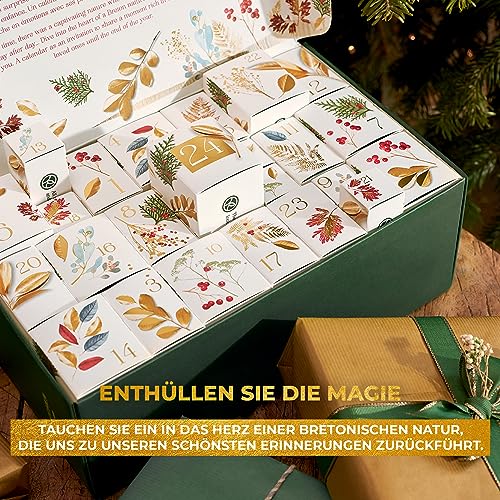 Der magische Yves Rocher Adventskalender 2023 - Ein Fest der Schönheit & Verwöhnung! 7 Goldenfellnase Der magische Yves Rocher Adventskalender 2023 - Ein Fest der Schönheit & Verwöhnung!