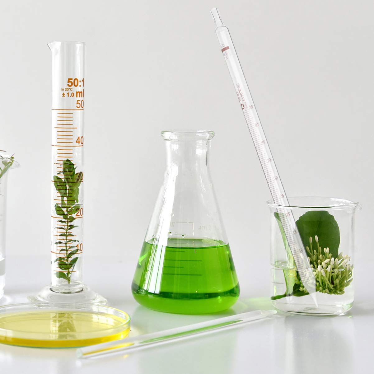 Scicalife Pipette en Verre Transparent Pipette Graduée 50Ml Pipette De Transfert pour Le Laboratoire École À La Maison