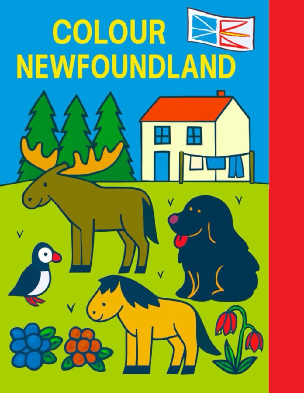 Colour Newfoundland