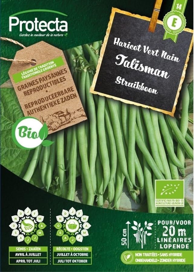 PROTECTA Semence Haricot Vert Nain Talisman BIO