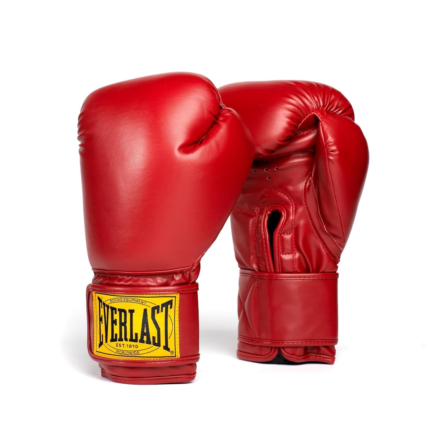 Everlast 1910 Classic Training Gloves (Red, 10oz)-picture-31