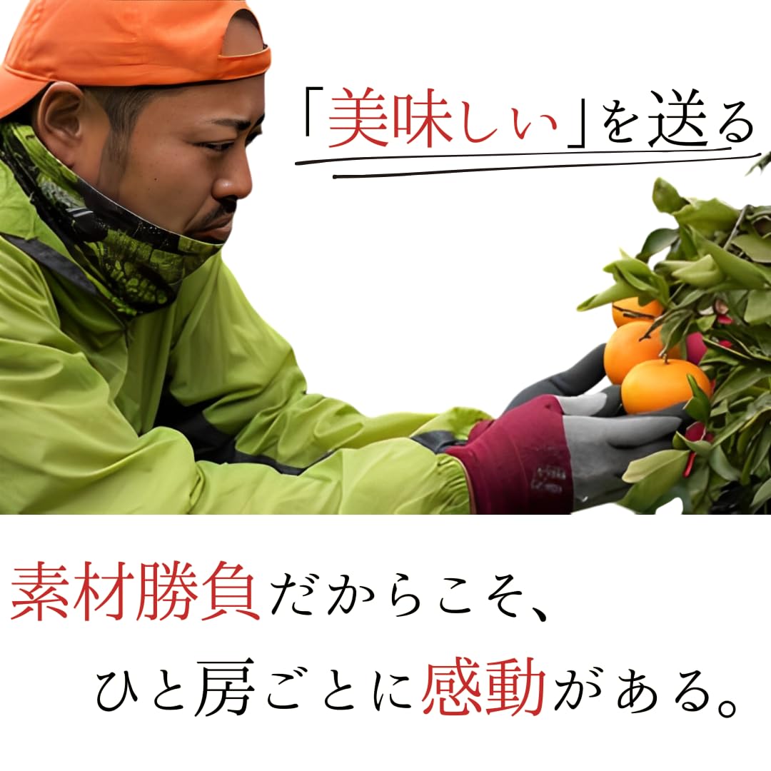 Amazon.co.jp: 【予約受付中】愛果28号＝紅まどんな（愛媛県産）｜甘