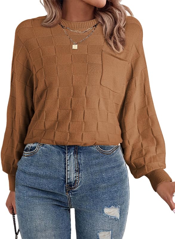 SHEWIN Womens Sweaters 2025 Casual Crewneck Long Sleeve Lightweight Knit Pullover Sweater Tops2