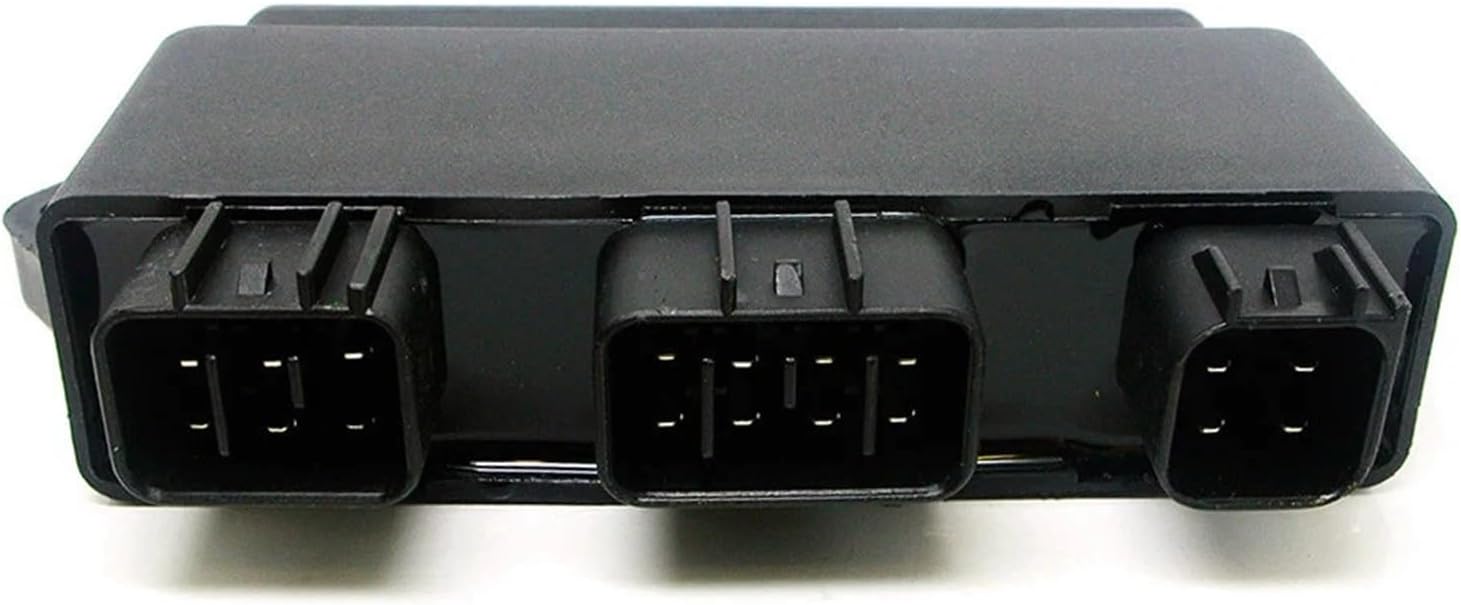 ⭕️油絵 二科会 会員 松井敏郎 画題 [御点前] SM パリ賞受賞 白松