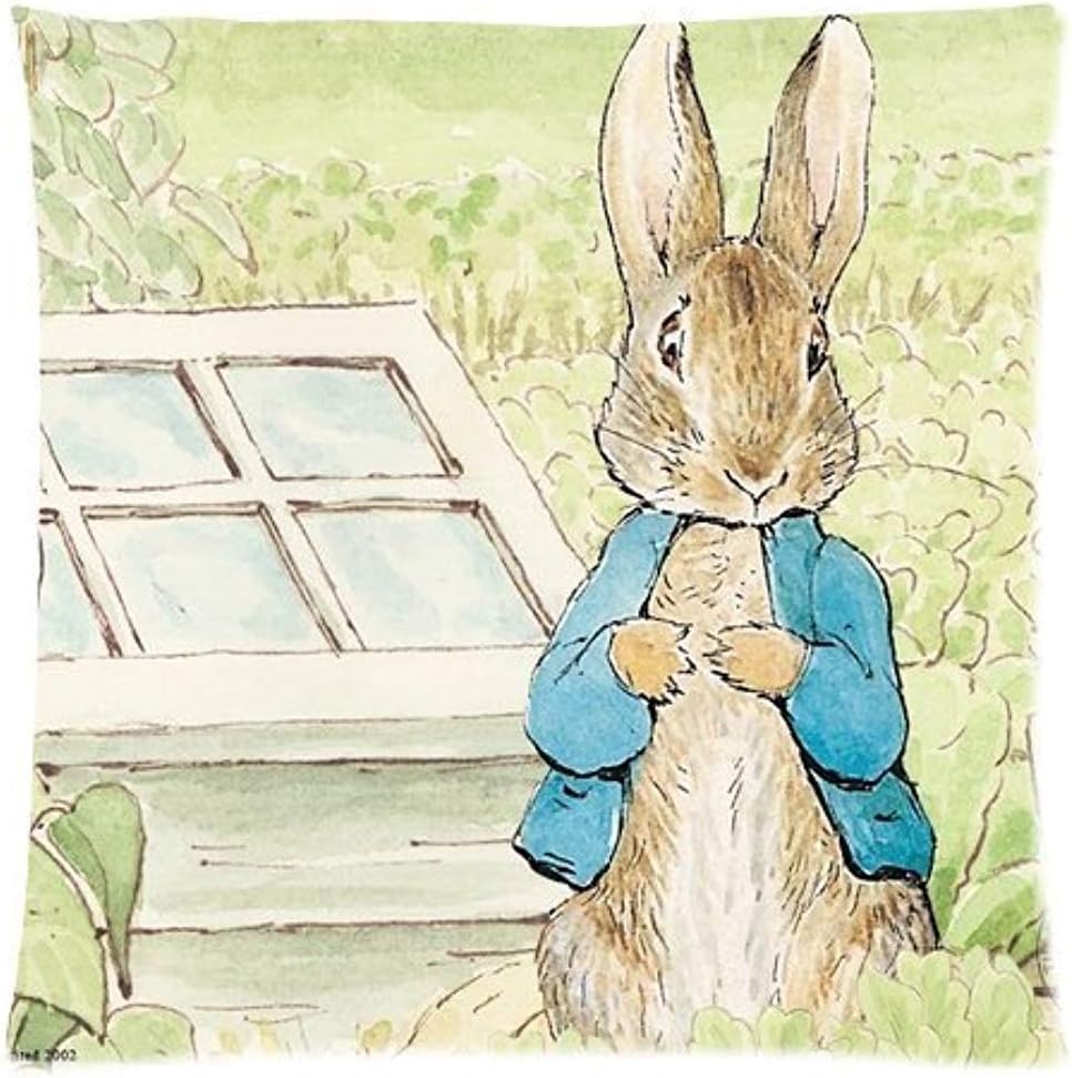 Peter Rabbit Pillowcases Custom Pillow Case Cushion Cover 18X18 Inches