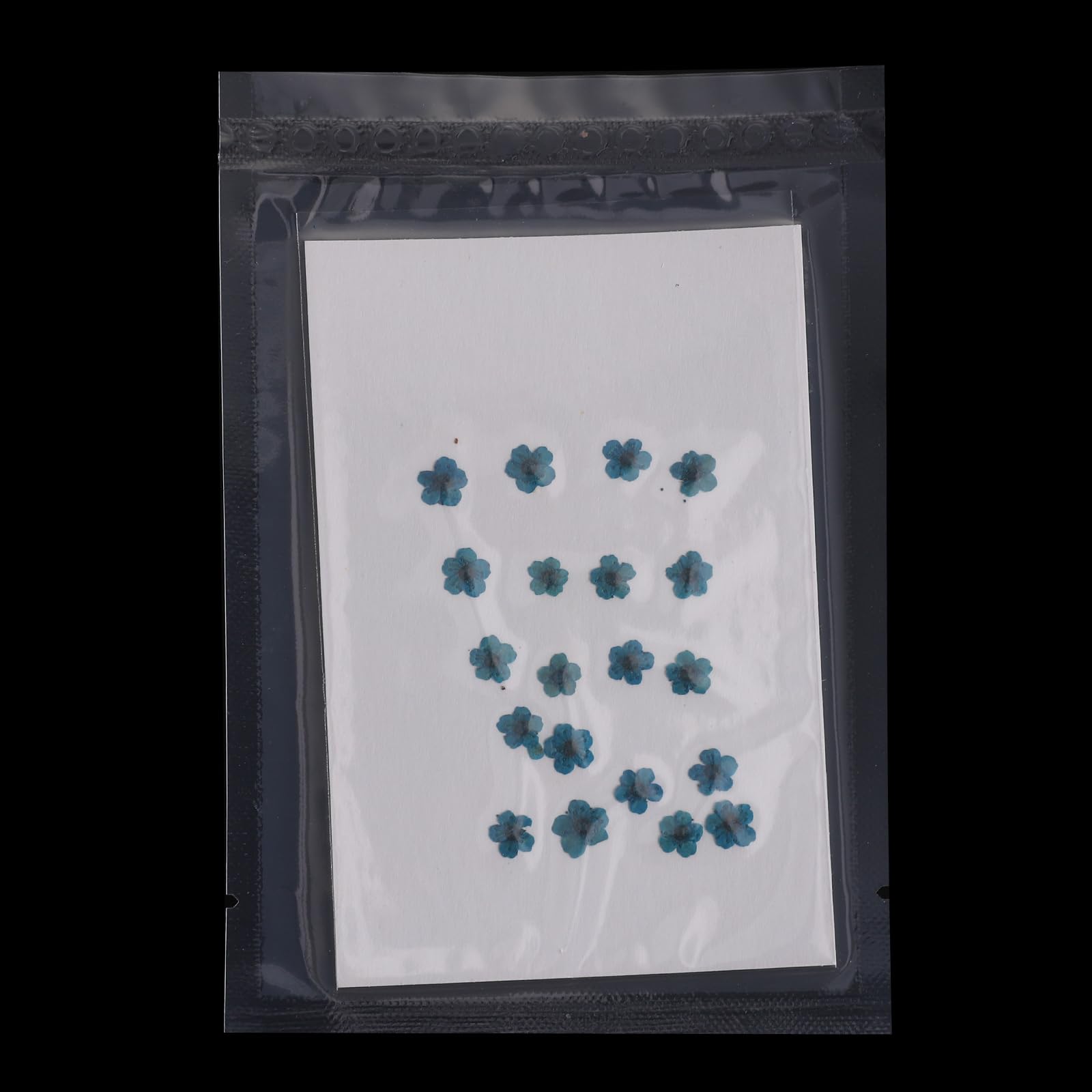 PATIKIL Dried Pressed Flower, 60 Pcs for Resin DIY Crafts Nail Art Cards Scrapbooking Jewelry Making Floral Decor, Blue - Image 4