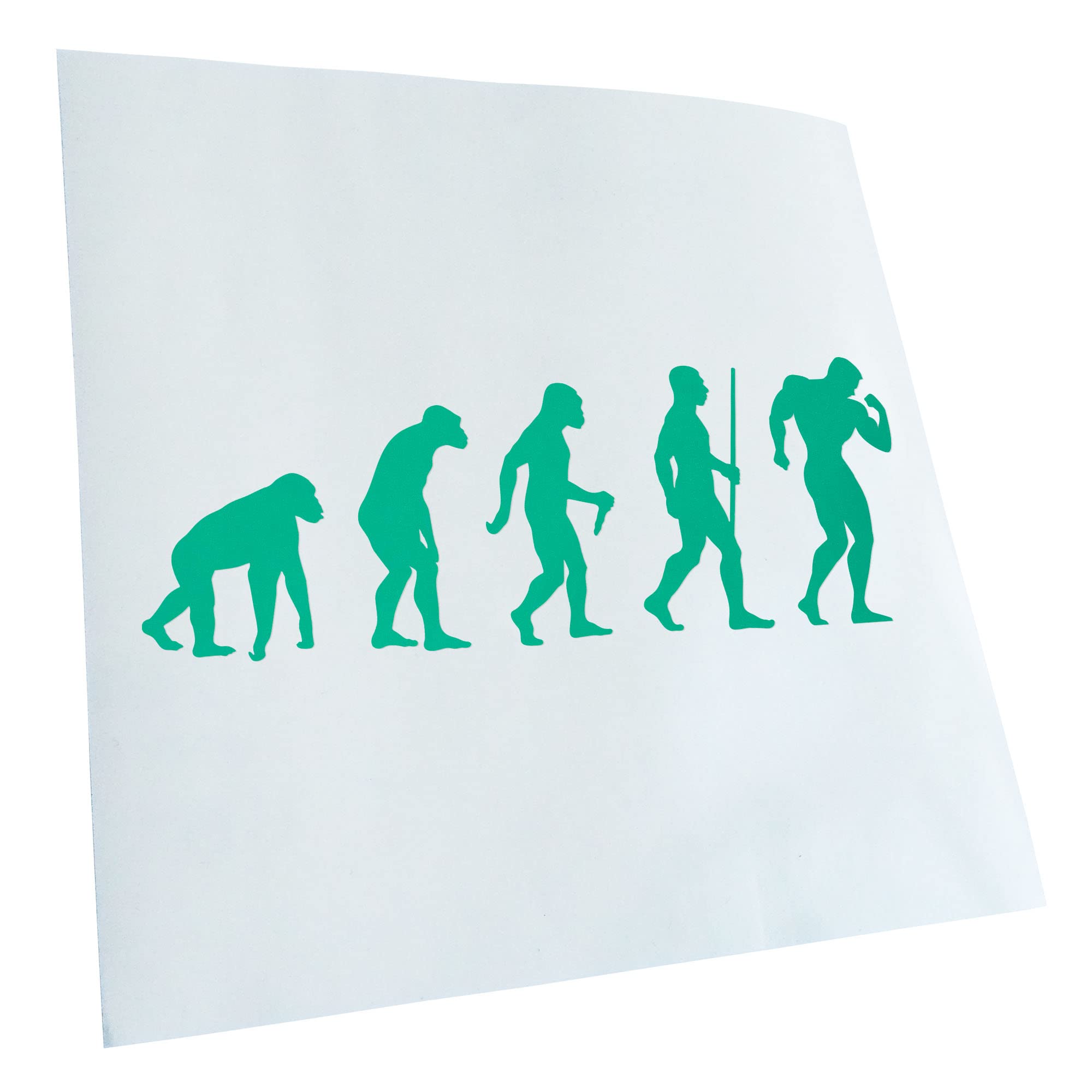Kiwistar - Car Sticker - Bodybuilding Evolution - Turquoise - 30 x 11 cm - Rear Window Car Sticker Weatherproof for Car Truck Moped Truck - Sticker Exterior Self-Adhesive Tuning Accessories for Window
