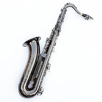 サックス本体と黒いケース サックス本体と黒いケース 管楽器・吹奏楽器