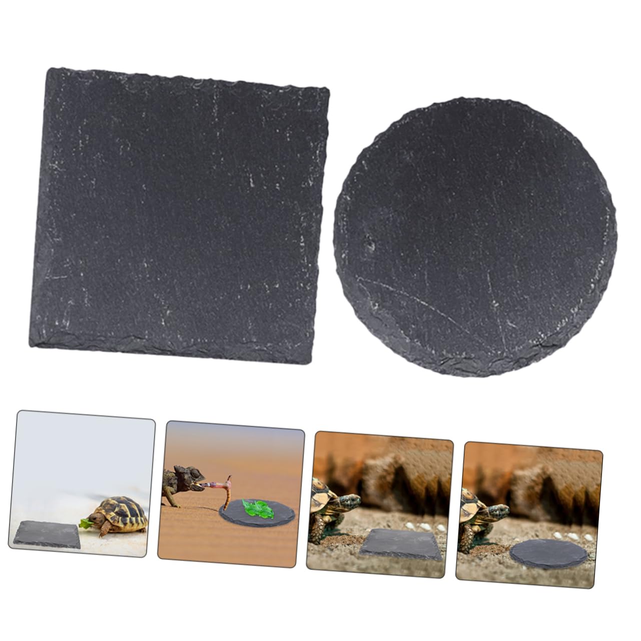 BESPORTBLE Rocks Turtle Board Tortoise Resting Platform Nail Polishing Bowl Desktop Turtle Platforms Basking