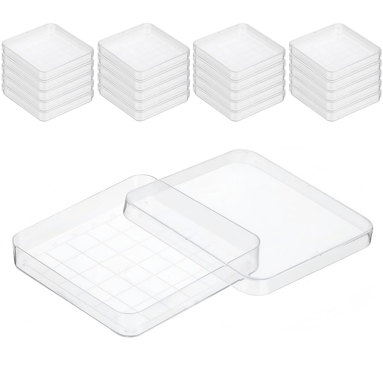 Boîtes de Petri carrées 10x10 cm en plastique avec couvercle transparent et grille - lot de 20 - pour laboratoire, microbiologie, mycologie, culture cellulaire, projets scolaires et recherches