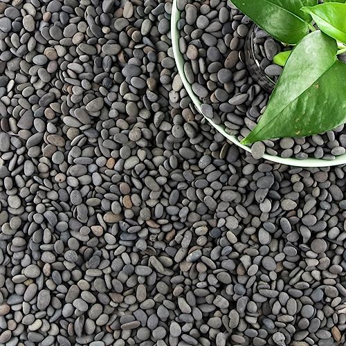 Image of 18lb Small Smooth River Rocks Pebbles for Plants & Succulents, Decorative Outdoor Landscaping Garden Rocks, Natural Mexican Beach Pebbles, Gravel for Aquarium, Fish Tanks, Vase and Yard Decor
